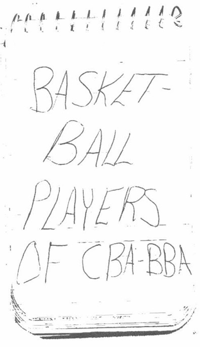 Complete BBA Stat Book